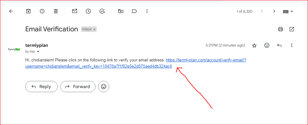 TermlyPlan registration email verification